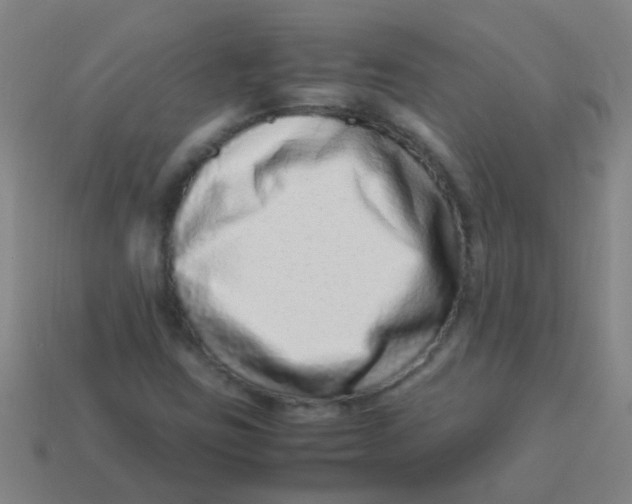 X0000113541403200910161401