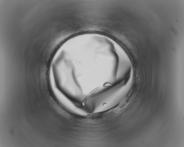X0000113541404200910161401