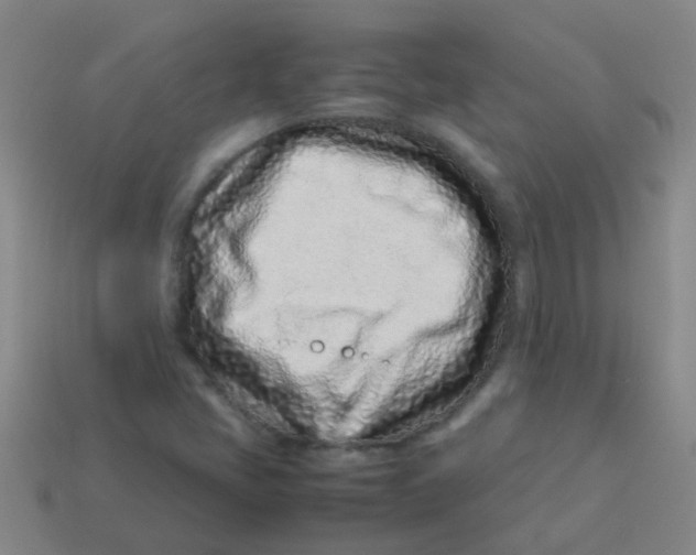 X0000113541405200910161401