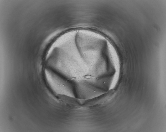 X0000113541406200910161401