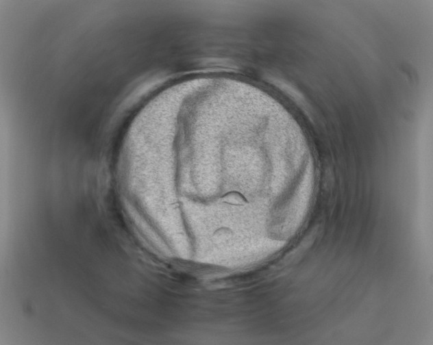 X0000113541407200910161401