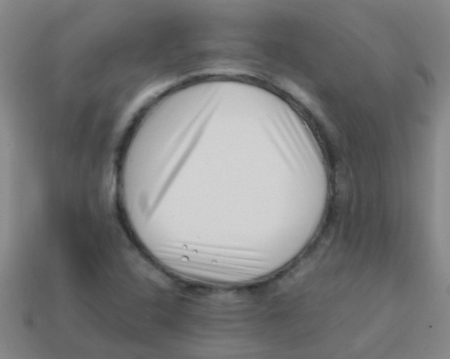 X0000113541408200910161401