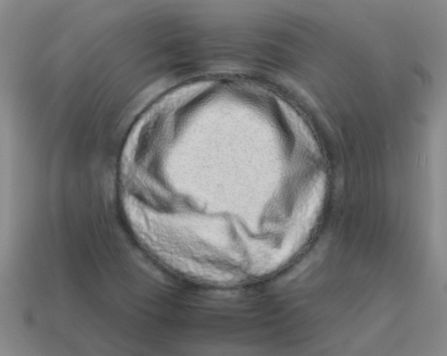 X0000113541409200910161401