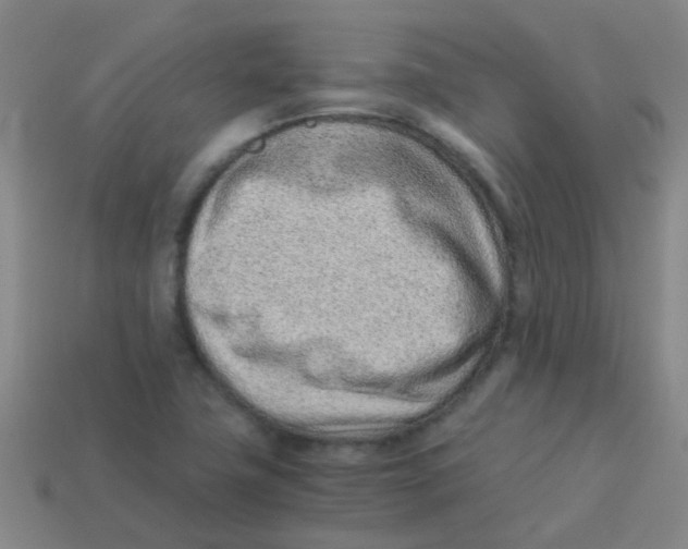 X0000113541411200910161401