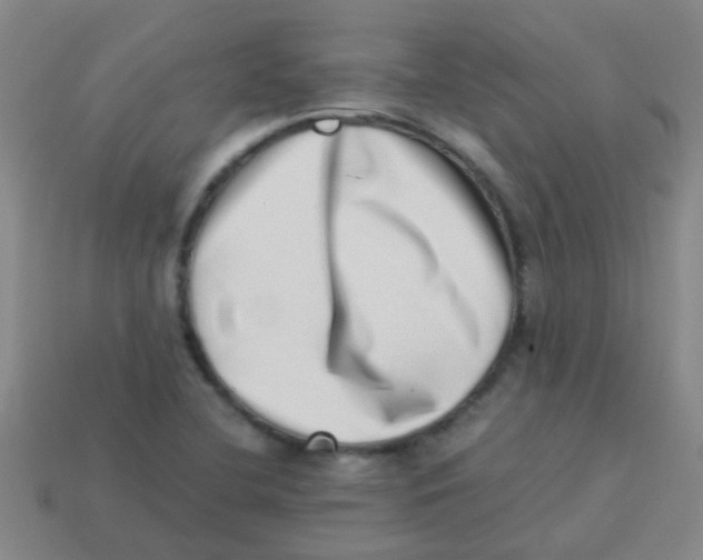 X0000113541412200910161401