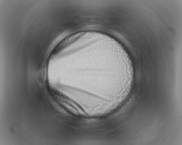 X0000113541413200910161401