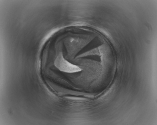 X0000113541414200910161401