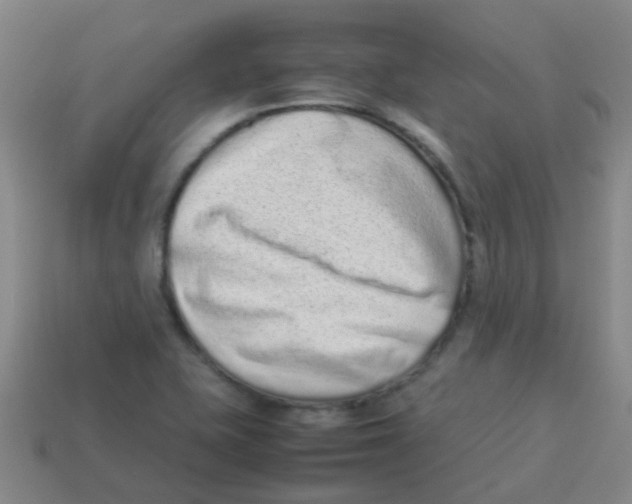 X0000113541415200910161401