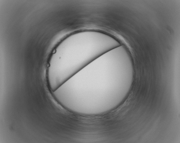 X0000113541416200910161401