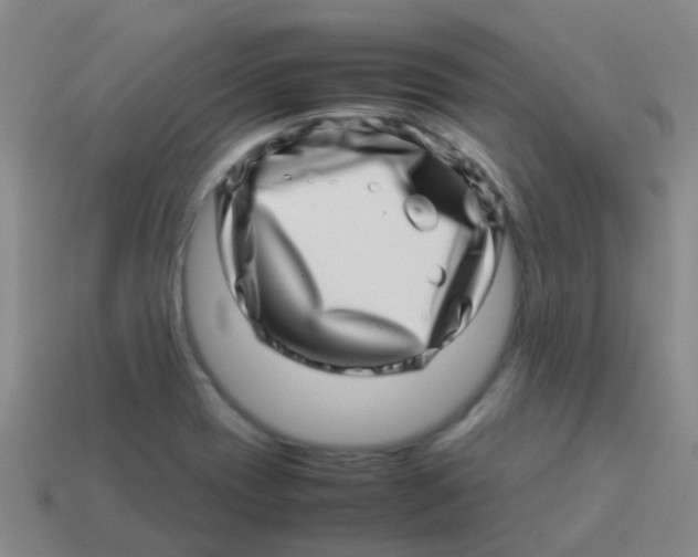 X0000113541417200910161401