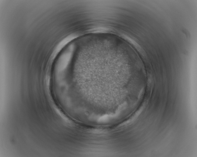 X0000113541418200910161402