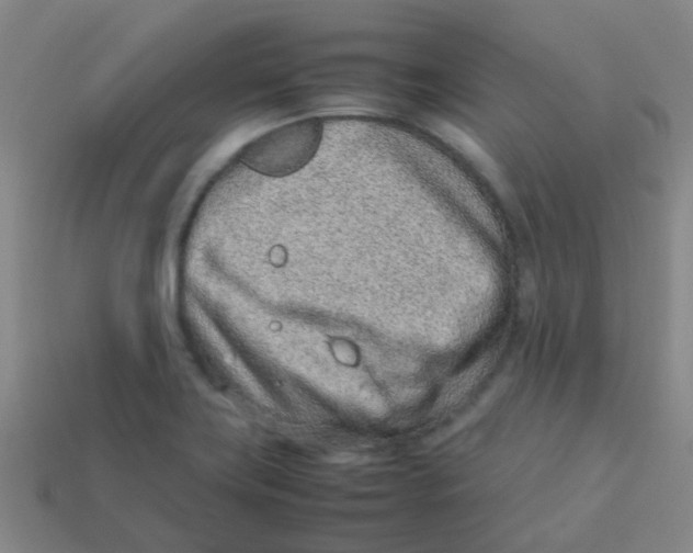 X0000113541419200910161402