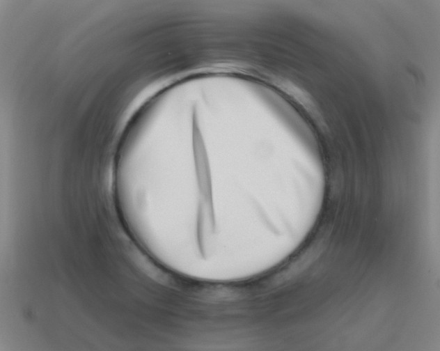 X0000113541420200910161402