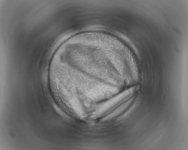 X0000113541421200910161402