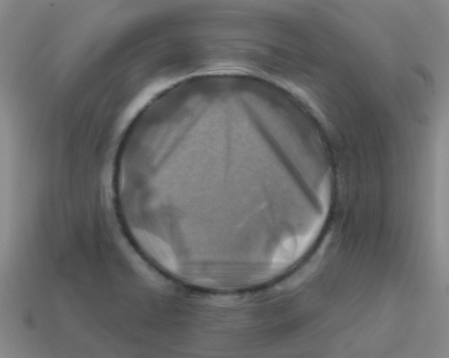 X0000113541422200910161402