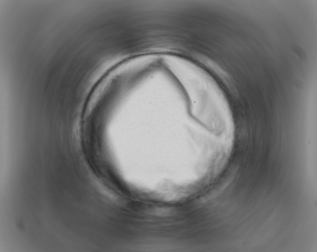 X0000113541423200910161402