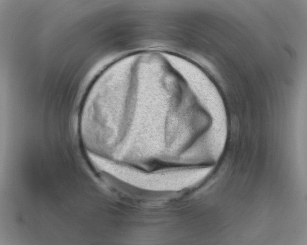 X0000113541424200910161402
