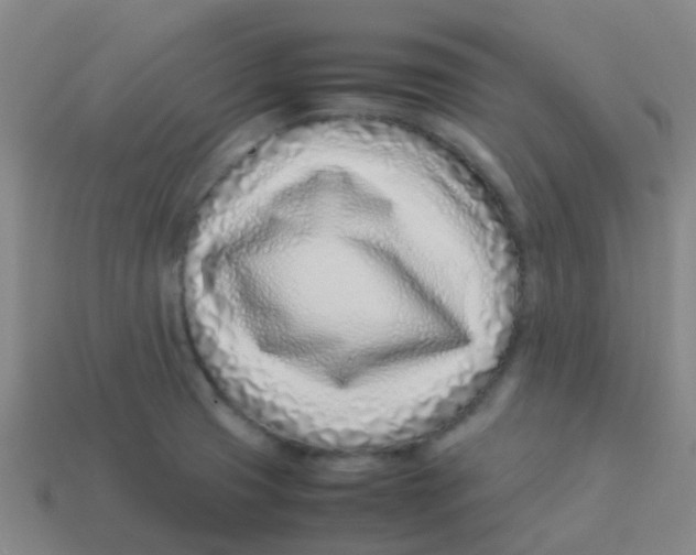X0000113541425200910161402