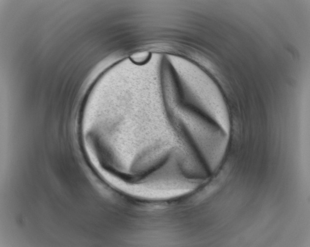 X0000113541426200910161402