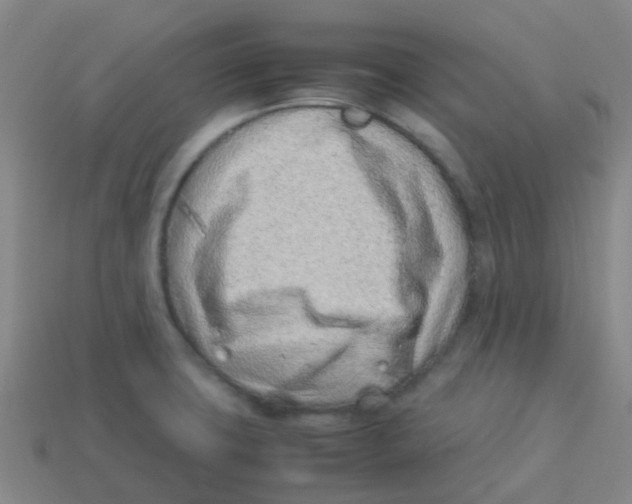 X0000113541427200910161402