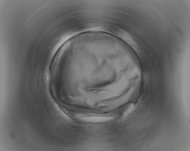 X0000113541428200910161402