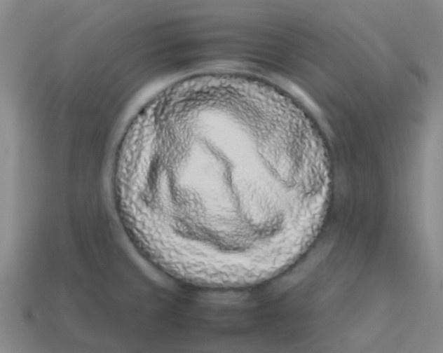 X0000113541429200910161402