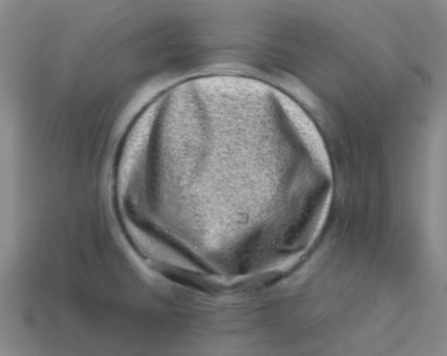 X0000113541430200910161402