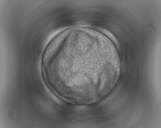 X0000113541431200910161402