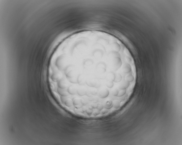 X0000113541432200910161402