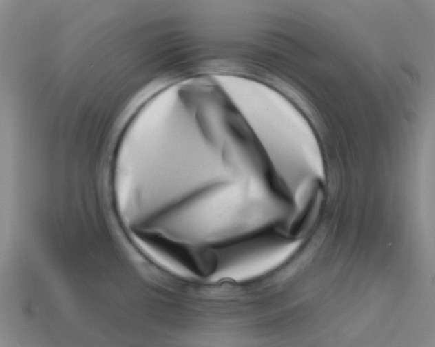 X0000113541434200910161402