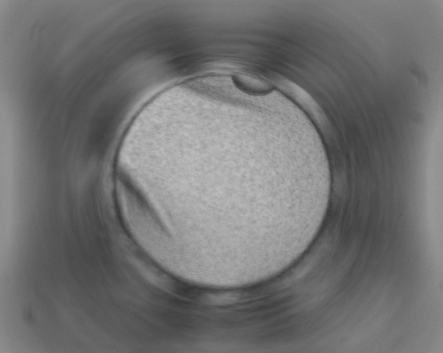 X0000113541435200910161402