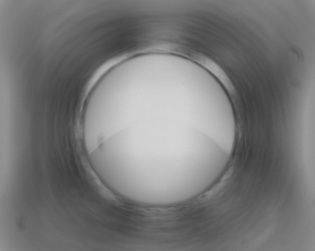 X0000113541436200910161402