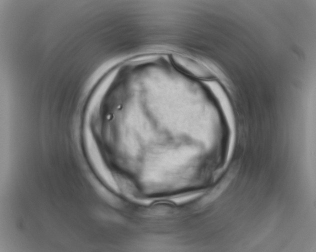 X0000113541438200910161402