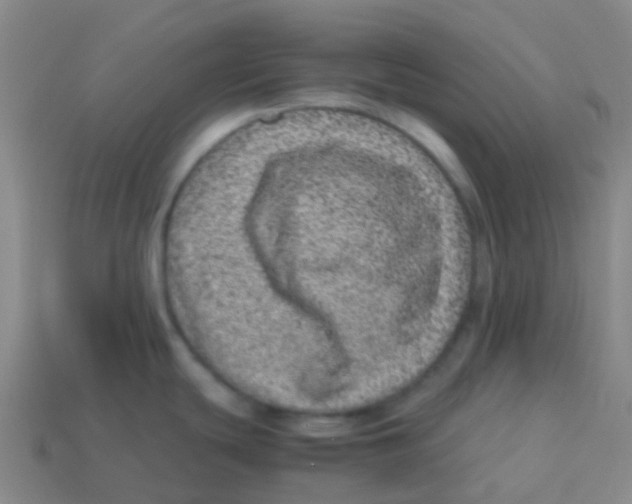 X0000113541439200910161402