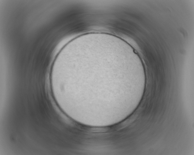 X0000113541440200910161402