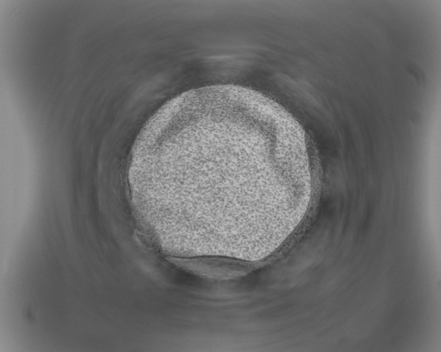 X0000113541441200910161401