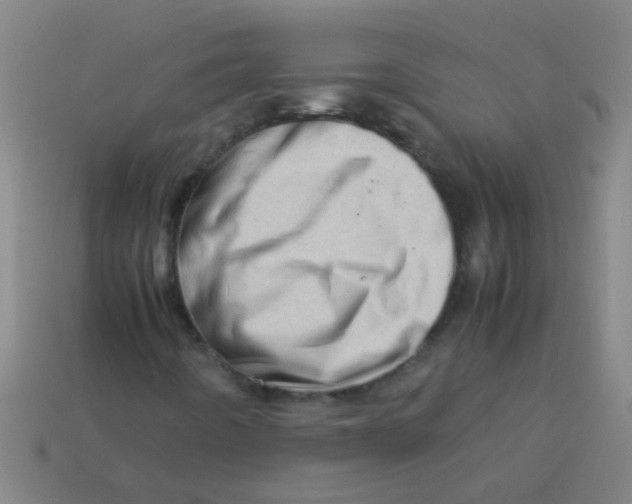 X0000113541442200910161401