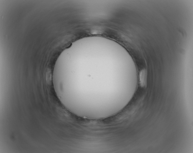 X0000113541443200910161401