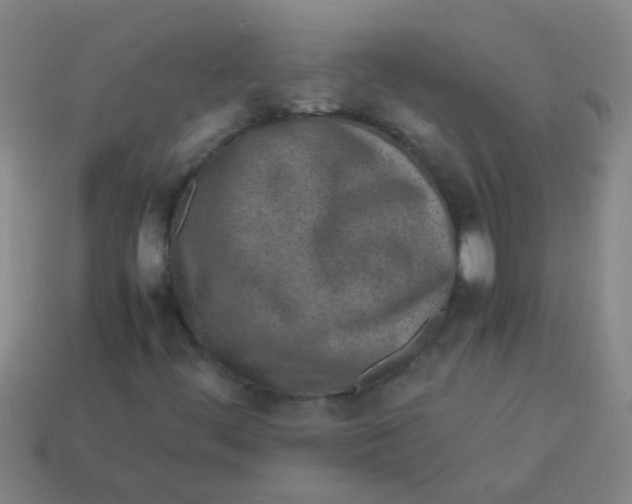 X0000113541444200910161401