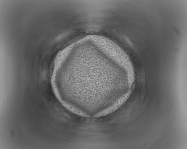 X0000113541445200910161401