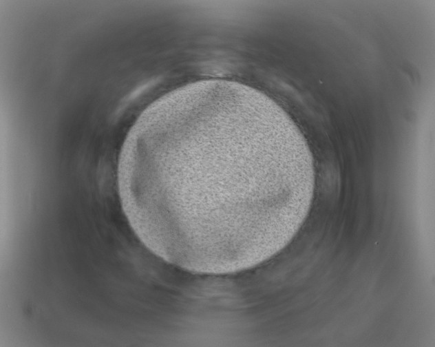 X0000113541446200910161401