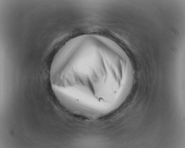 X0000113541447200910161401