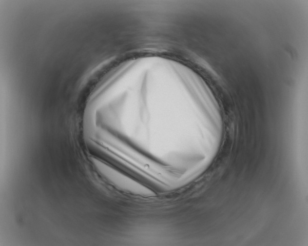 X0000113541448200910161401