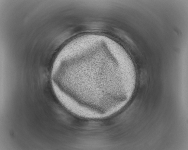 X0000113541449200910161401