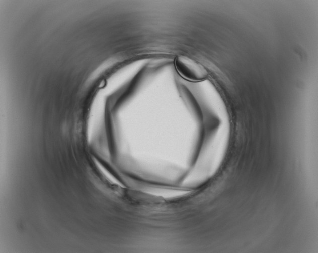 X0000113541450200910161401