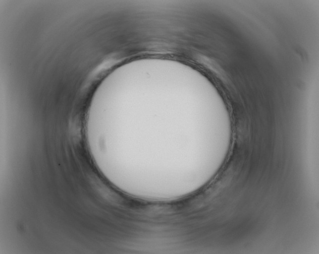 X0000113541451200910161401