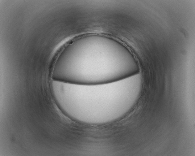 X0000113541452200910161401