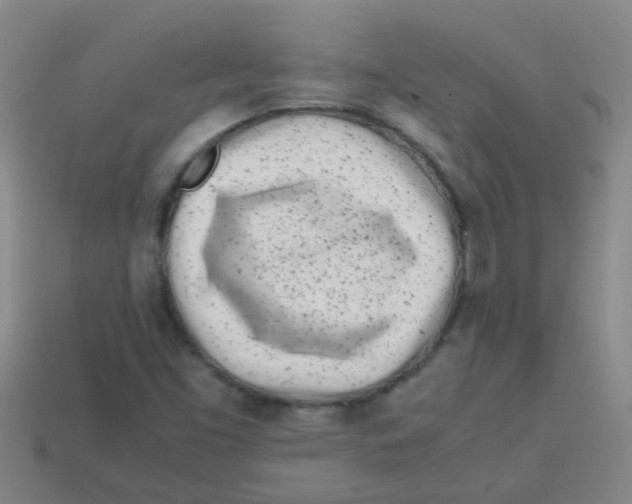 X0000113541453200910161401