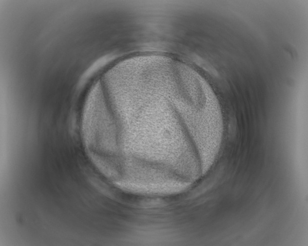 X0000113541454200910161401