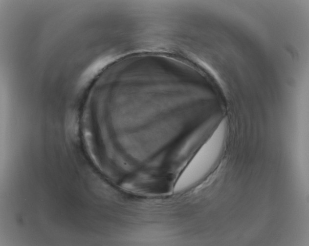X0000113541455200910161401